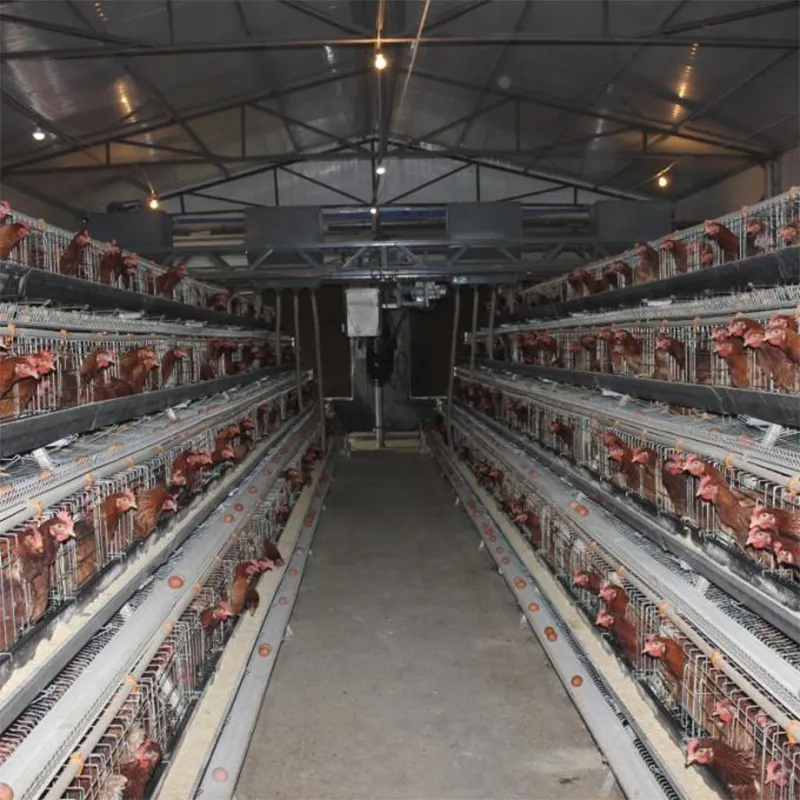 Клетки для несушек в продаже