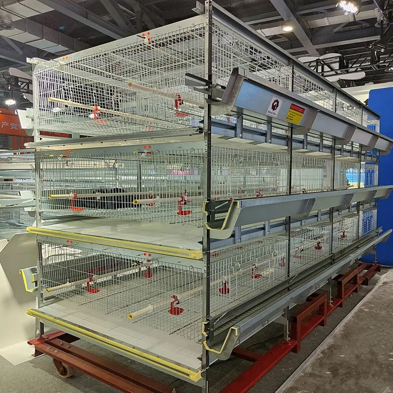 Автоматическое оборудование для бройлеров в птичнике (2)